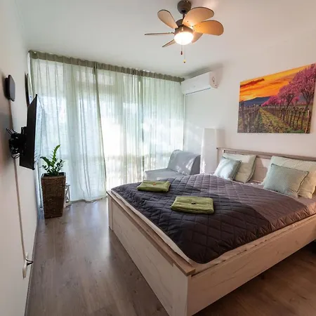 Apartment Vip